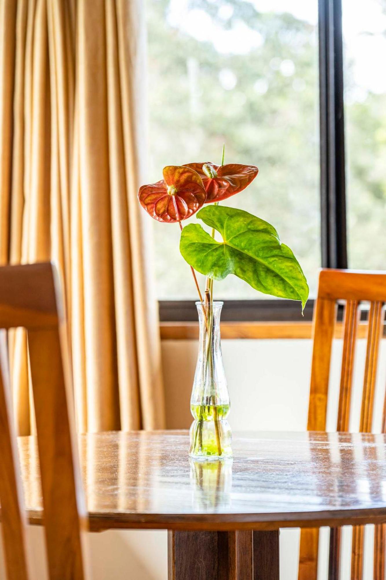 Volcano Inn Bed N Breakfast Екстериор снимка