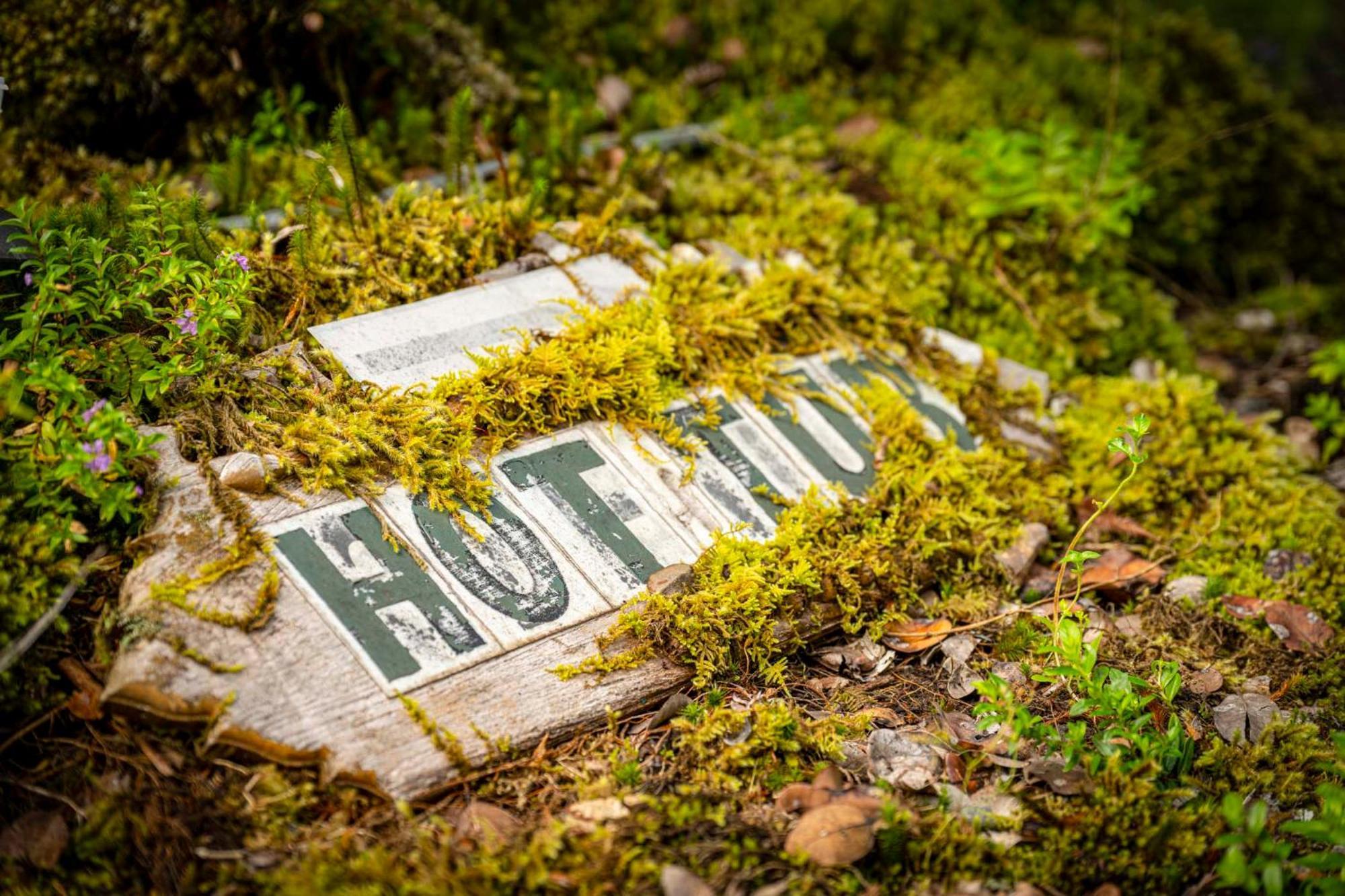 Volcano Inn Bed N Breakfast Екстериор снимка