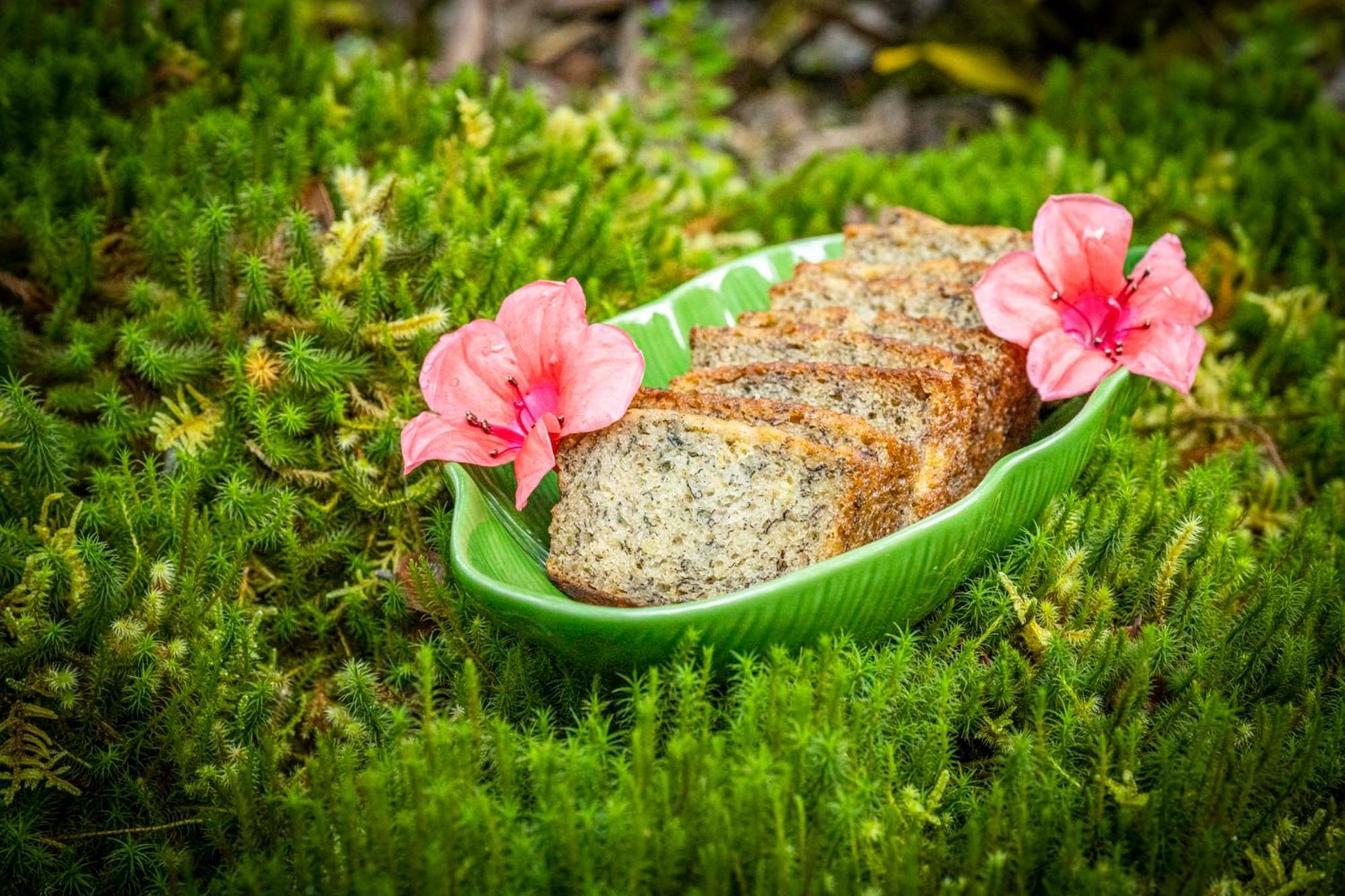 Volcano Inn Bed N Breakfast Екстериор снимка